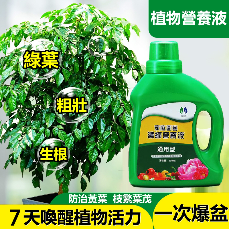 【節日豪禮特惠限時贈送三件套盆栽小鏟子】通用型 家用植物營養液,無效退全款!【限時免運費,貨到付款】 【節日豪禮特惠限時贈送三件套盆栽小鏟子】通用型 家用植物營養液,無效退全款!【限時免運費,貨到付款】